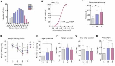 Deficiency of Mitochondrial Functions and Peroxidation of Frontoparietal Cortex Enhance Isoflurane Sensitivity in Aging Mice